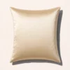 22 Momme 6A-Grade 100% Mulberry Silk Pillowcase