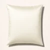22 Momme 6A-Grade 100% Mulberry Silk Pillowcase