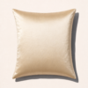 香槟色sku 22 Momme 6A-Grade 100% Mulberry Silk Pillowcase